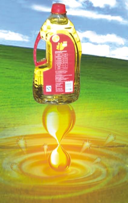 1.8LʳƿͼƬ